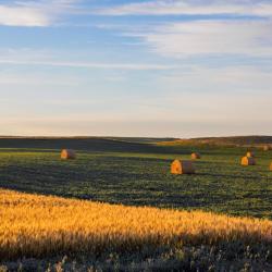 Dickinson 9 hoteles con pileta