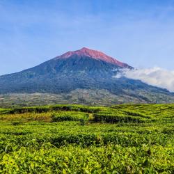 Jambi 62 hotels with parking