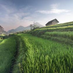 Mojokerto 33 hotels with parking