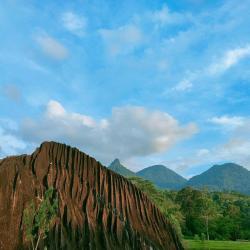 Singkawang 4 casas de campo