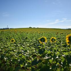 Chambersburg 3 hoteles con hidromasaje