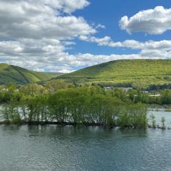 Williamsport 3 hoteles con hidromasaje