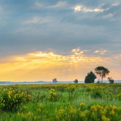 Marion 8 hoteles con pileta