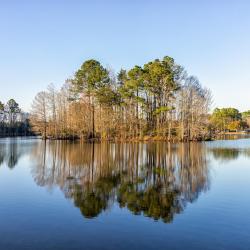 Santee 25 hotels