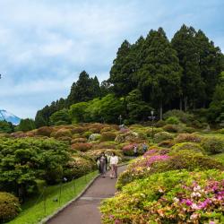 Hakone 143 cheap hotels