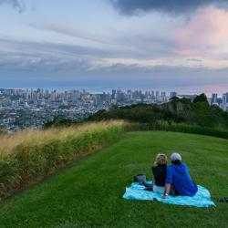 Honolulu 60 hot&eacute;is que aceitam pets