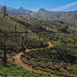 Munnar 58 haustierfreundliche Hotels