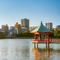 Fukuoka 53 of the guest houses
