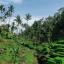 Ubud