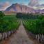 Stellenbosch