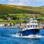 Dingle