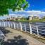 Limerick