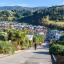 Dunedin