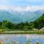Nagano