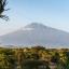 Arusha