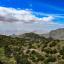 Taif