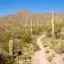 Enterprise car rental locations in Tucson