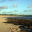 Kahuku