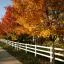 Hertz car rental locations in Apex