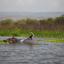 Naivasha