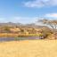 Nelspruit