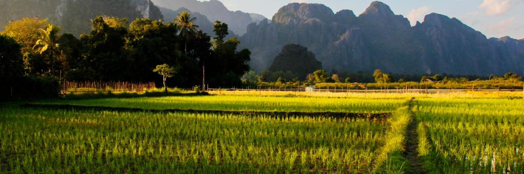 Hotels in Laos