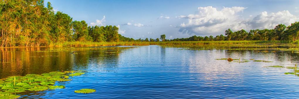 
Hotels in Suriname
