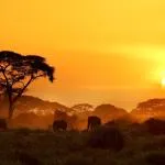 Best time to visit Kenya