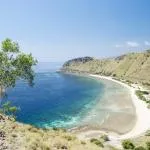 Best time to visit East Timor