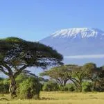 Best time to visit Tanzania