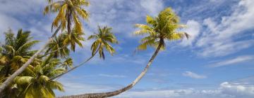 Holiday Rentals in Fiji