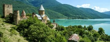 Hotels in Georgien