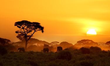 Hoteles en Kenia