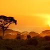 Hotels in Kenia