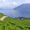 Serviced Apartments in Switzerland