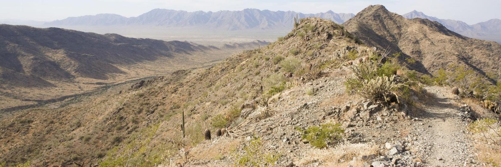 Recommended Hotels in South Mountain