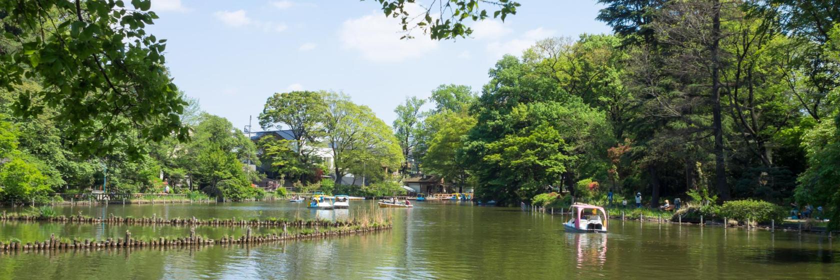 10 Top-Rated hotels in Suginami Ward