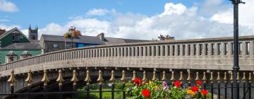 Hôtels dans ce quartier : Kilkenny City Centre