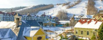 Hoteller i Blue Mountain Village