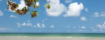 Hoteles en Playa de White Sands