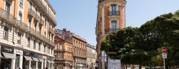 Hoteles en Centro de Toulouse
