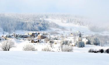 Hoteles en Zieleniec