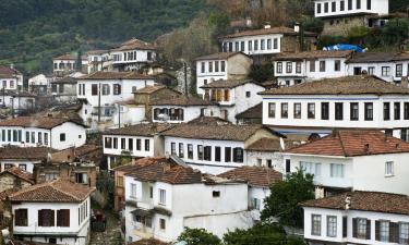 Hôtels dans ce quartier : Sirince