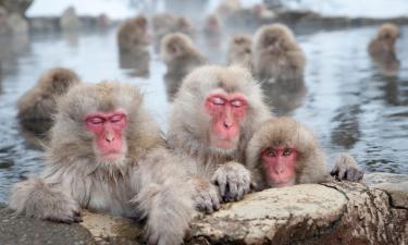 Hotéis em: Onsen de Yudanaka