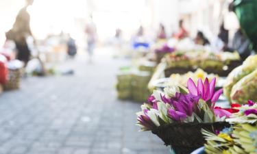 Ubud City-Centre – hotely