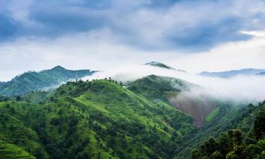 Hotels a New Shimla