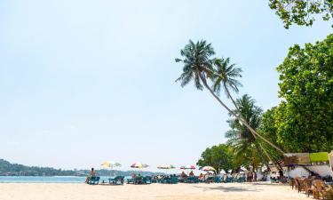 Hoteles en Playa de Mirissa