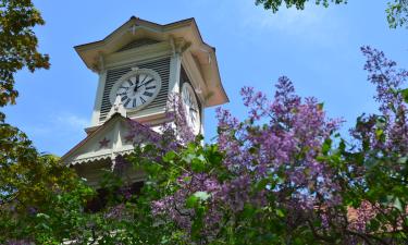 Hotels in Sapporo Centrum