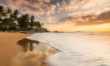 Hoteles en Playa de Tangalle