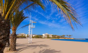 Hoteles en Playa del Arenal